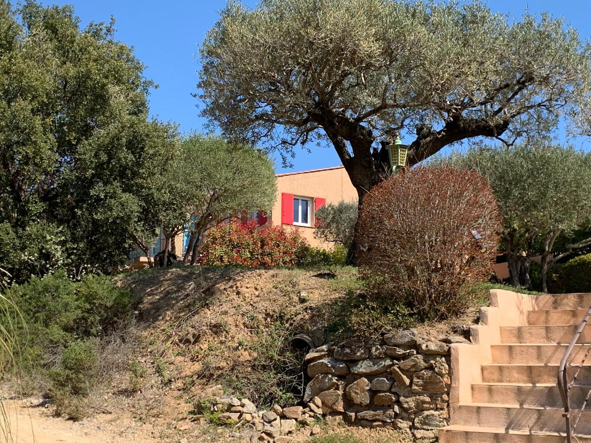 Les Oliviers Apartment Grimaud Exterior photo