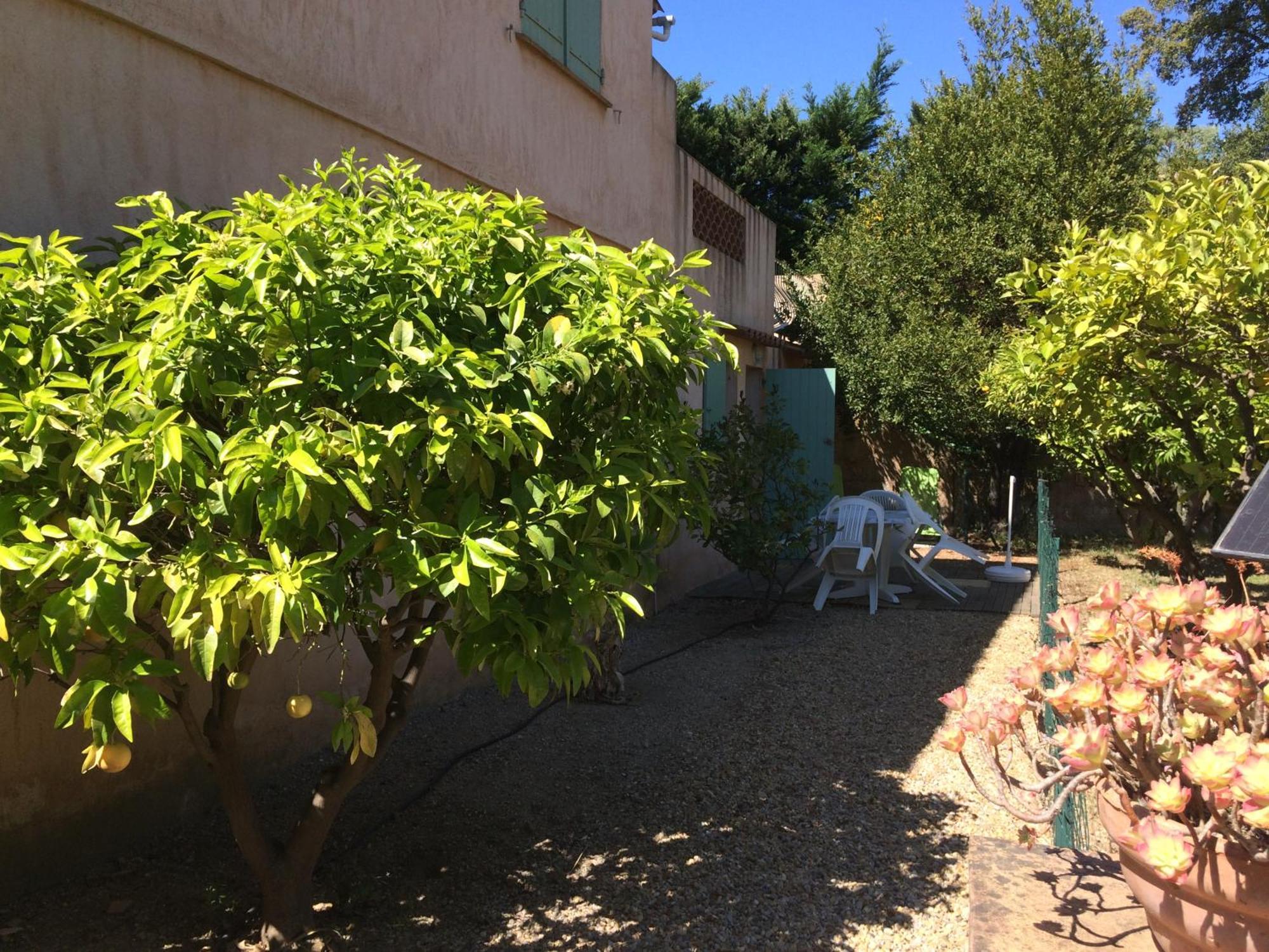 Les Oliviers Apartment Grimaud Room photo
