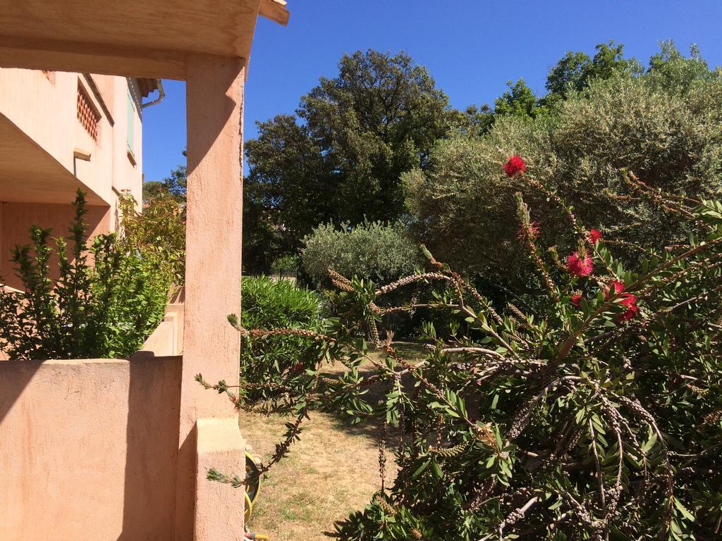 Les Oliviers Apartment Grimaud Exterior photo